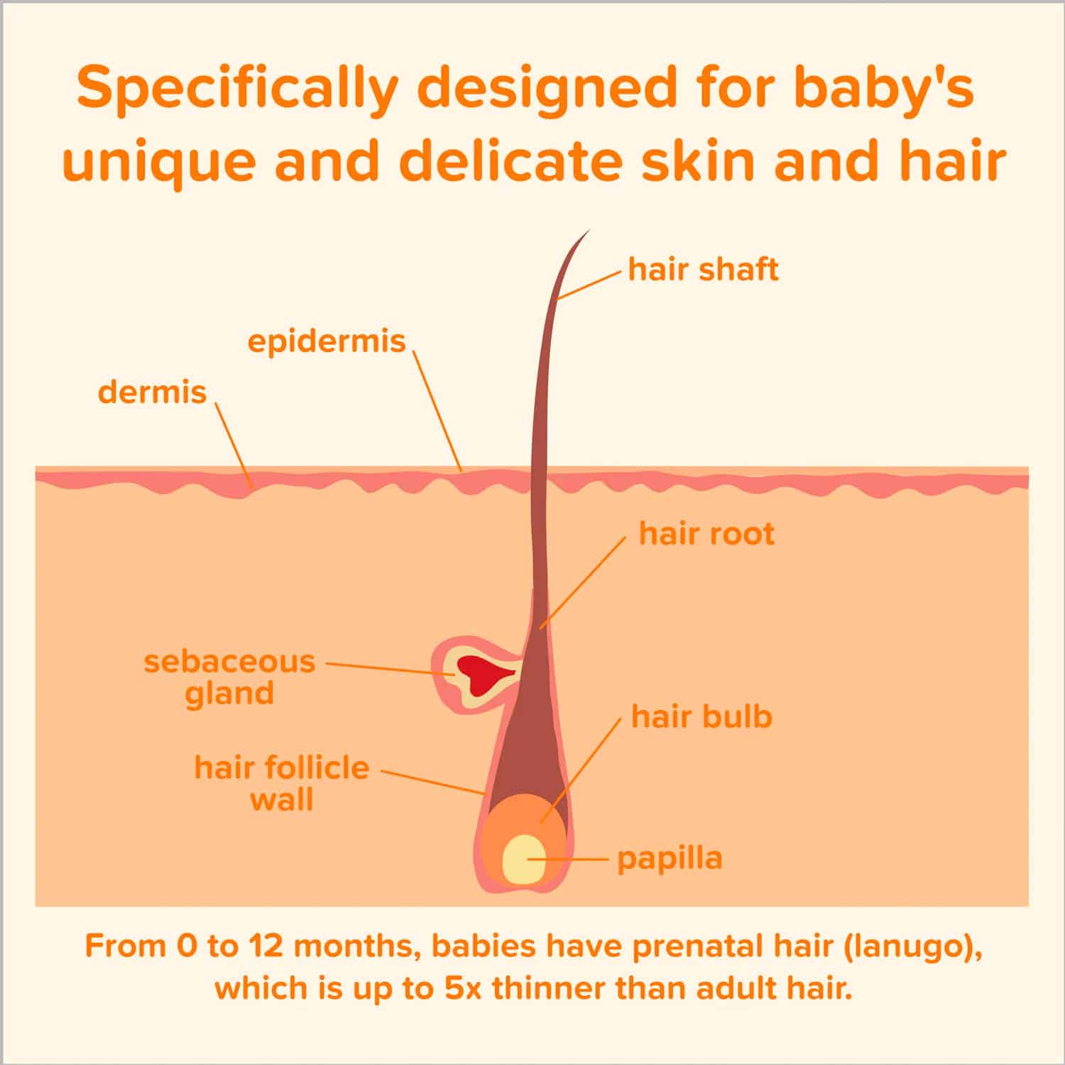 Johnson's Baby Shampoo with Gentle Tear-Free Formula, 1.7 fl. oz - Image 4